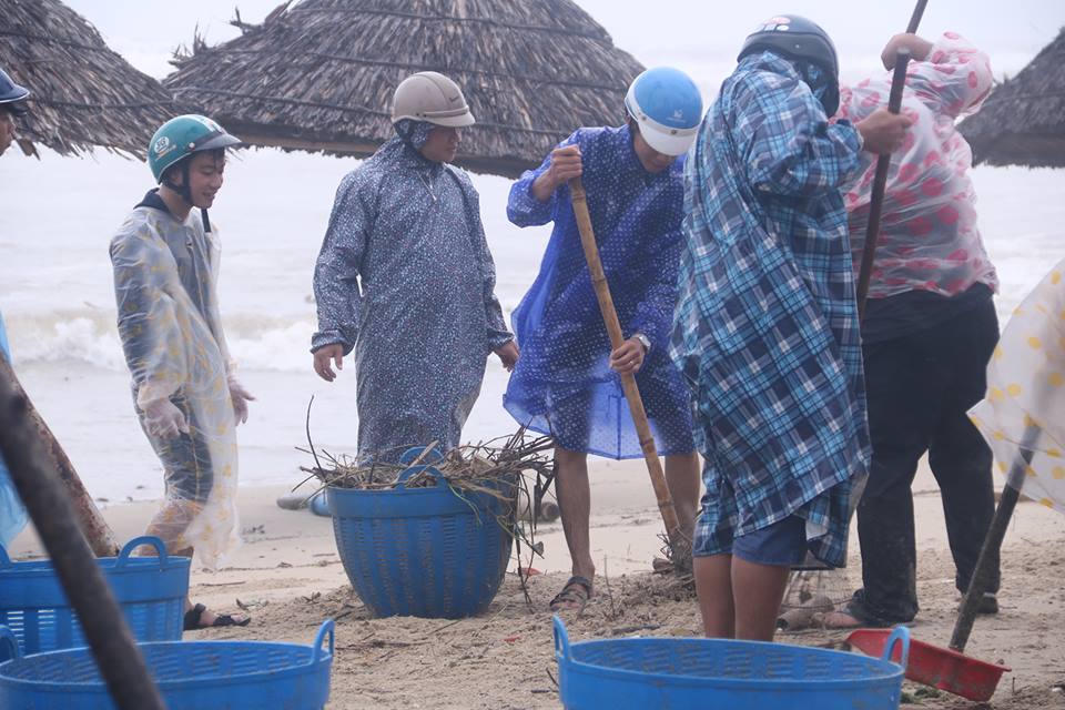 Lãnh đạo Đà Nẵng yêu cầu đêm nay dọn xong hậu quả bão trên đường phố