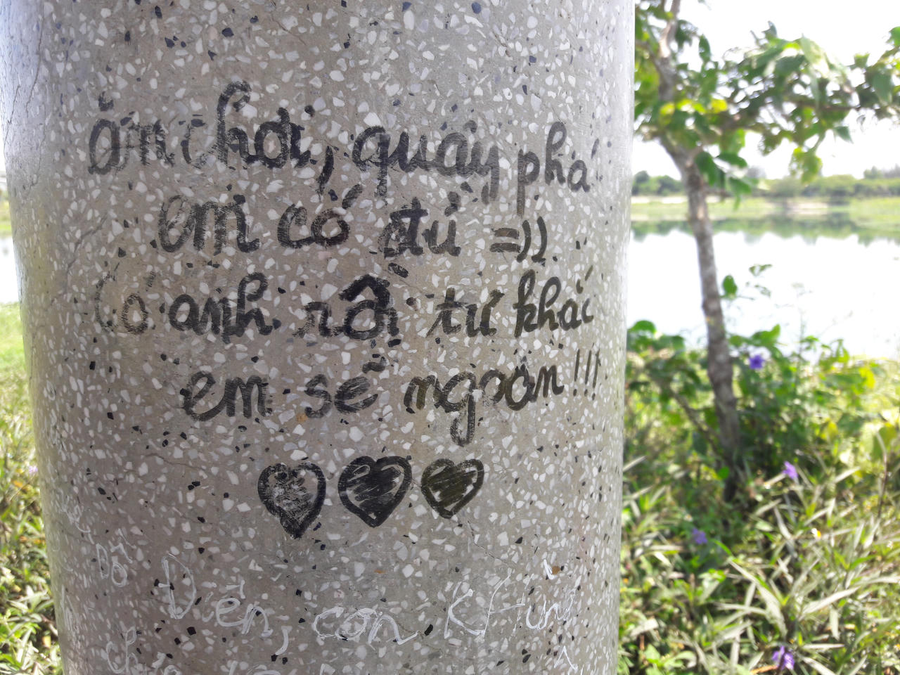 Tận mắt xem Công viên 50 tỷ đồng thành nơi phóng uế, bỏ hoang tàn tại Đà Nẵng