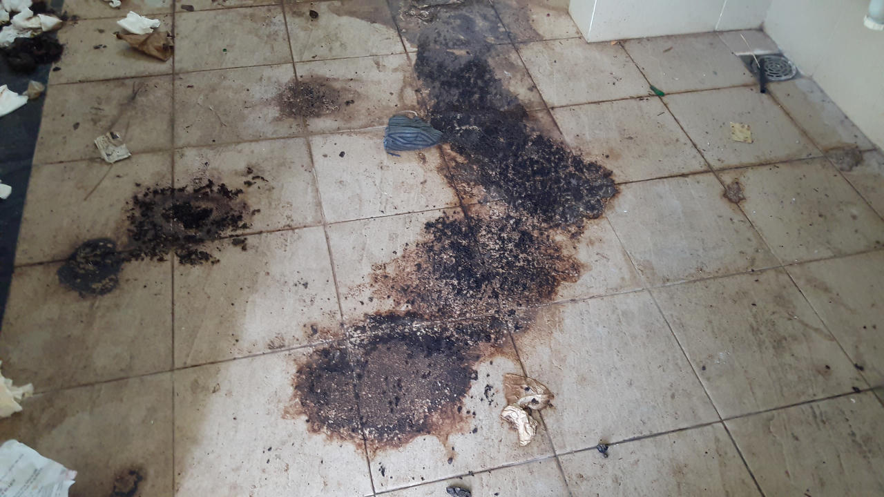 Tận mắt xem Công viên 50 tỷ đồng thành nơi phóng uế, bỏ hoang tàn tại Đà Nẵng