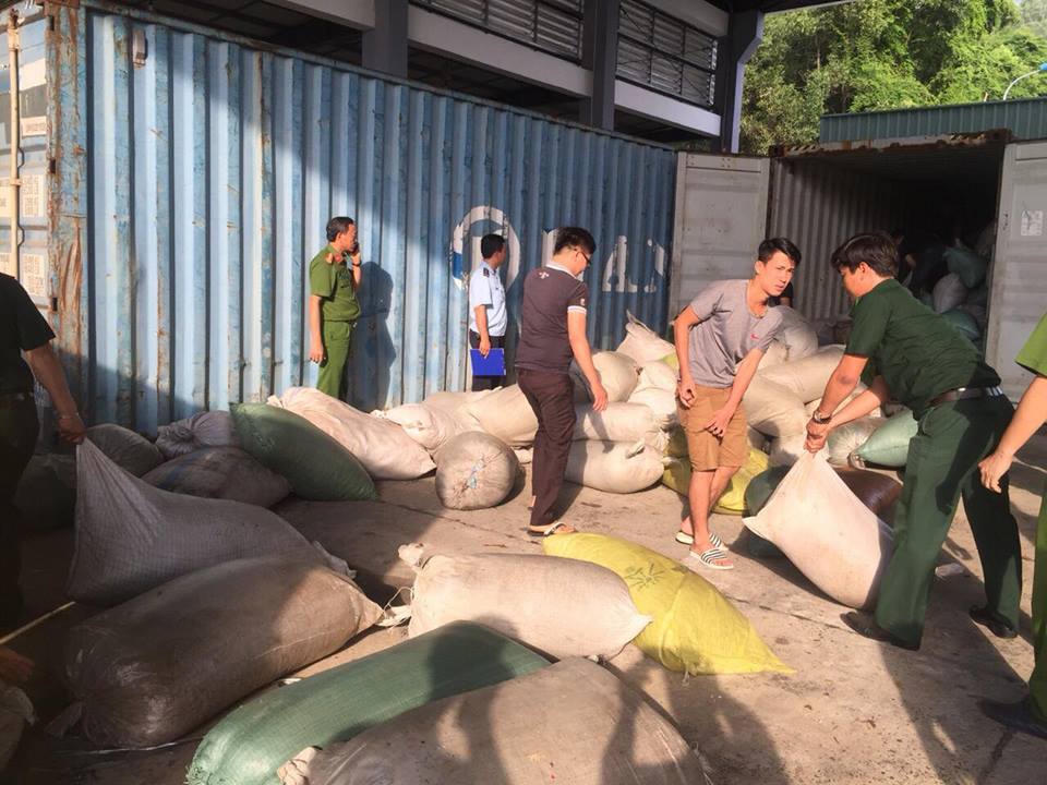 Đà Nẵng: Bắt giữ 10 tấn ngà voi, vẩy tê tê nhập lậu vào Cảng Tiên Sa