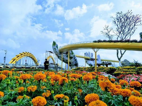 Những thông tin cần biết về Đà Nẵng dịp Tết Kỷ Hợi