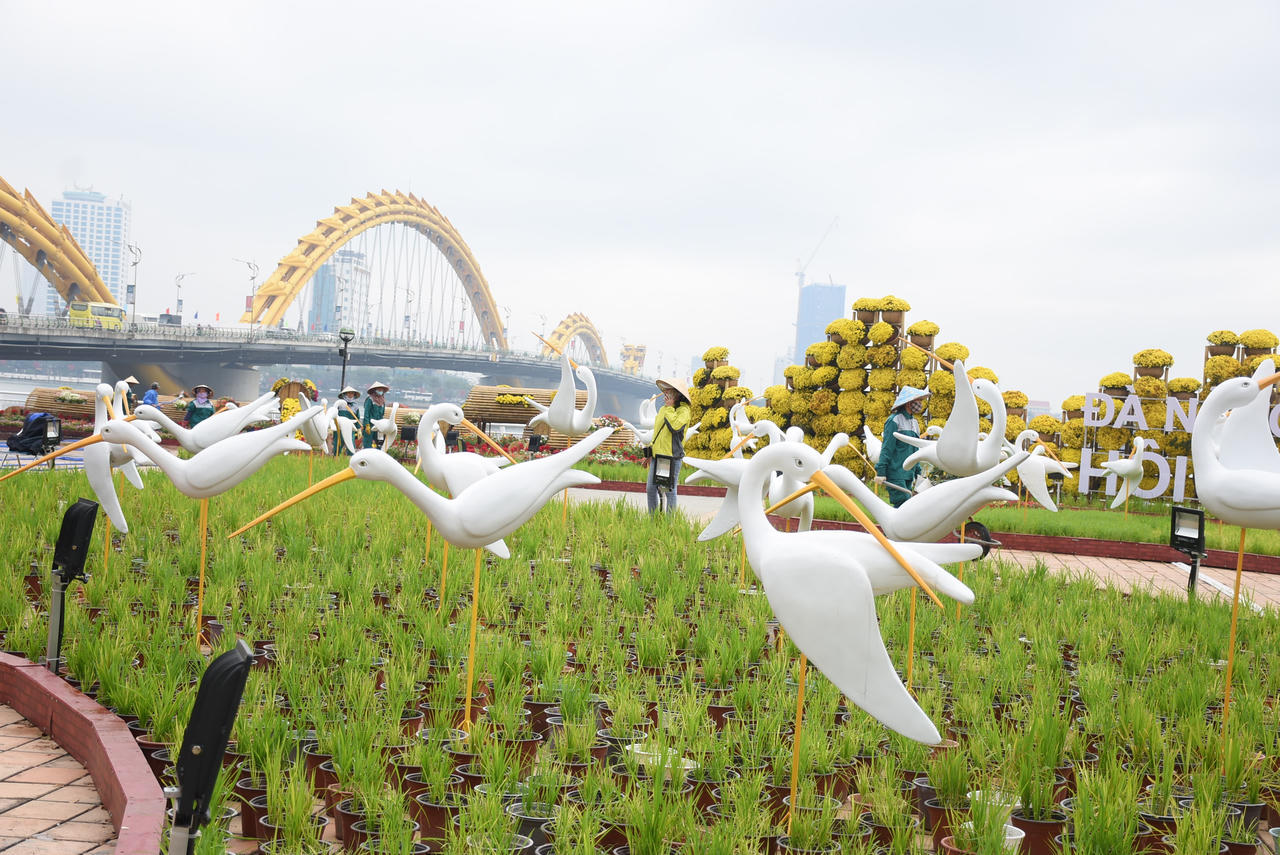 Người dân và du khách Đà Nẵng vui xuân trên đường hoa Tết Kỷ Hợi