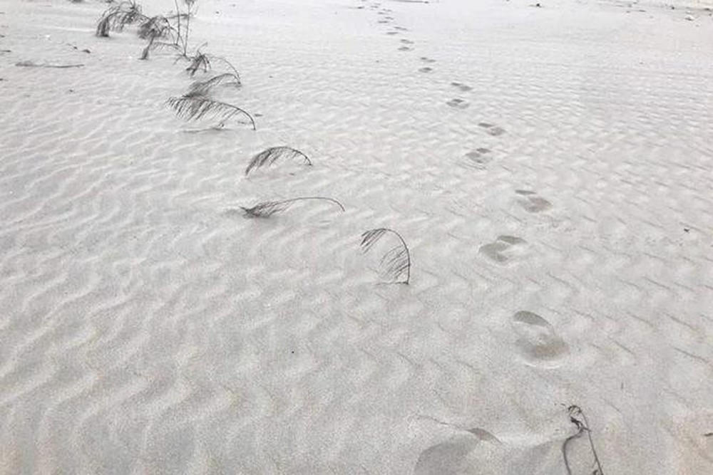 Xuất hiện cồn cát 'khủng' ngoài khơi biển Hội An