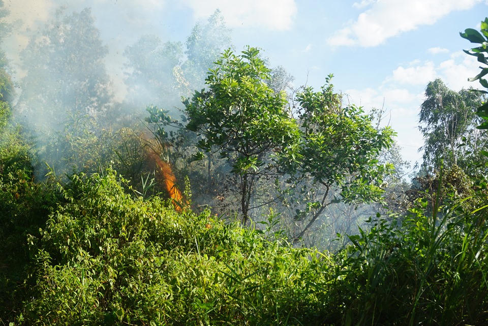 Đà Nẵng: Hàng trăm chiến sĩ nổ lực cứu đám cháy rừng lớn