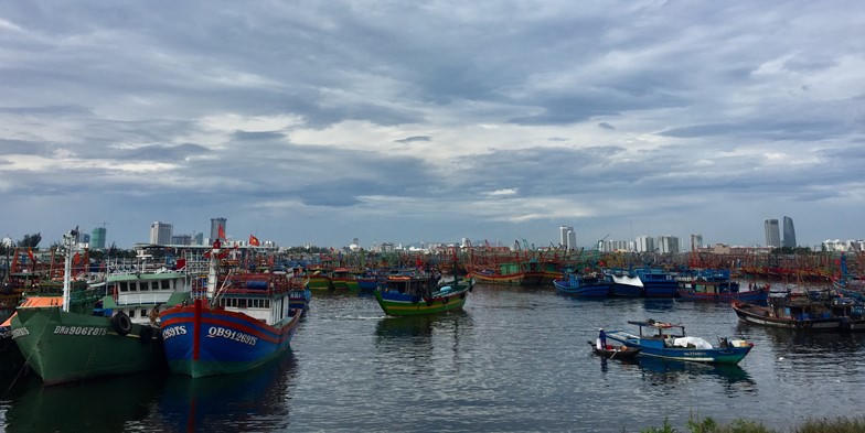 Đà Nẵng cấm tàu cá hoạt động ở vùng biển nguy hiểm do áp thấp nhiệt đới