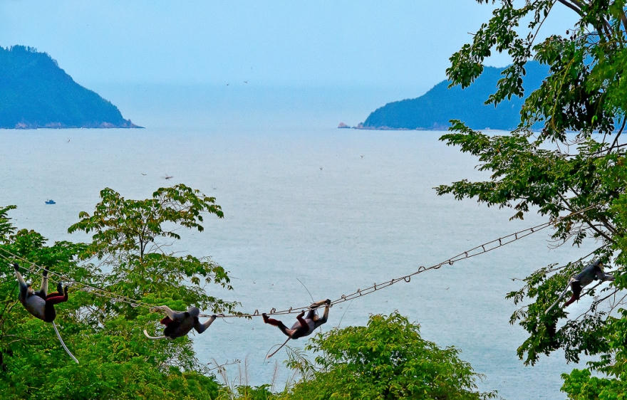  450 tác phẩm thi sáng tác ảnh về môi trường và đa dạng sinh học TP Đà Nẵng