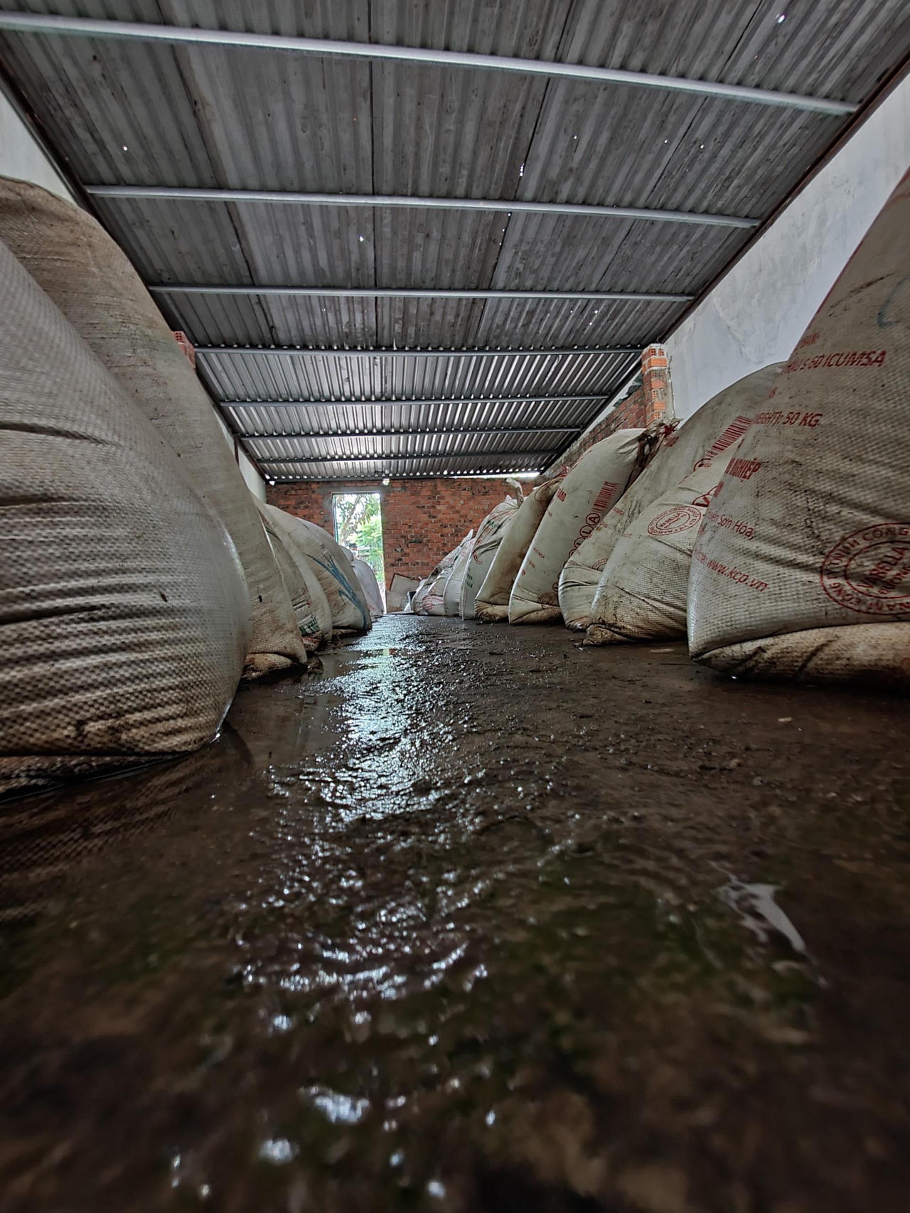 Phát hiện kho chứa 15 tấn tương ớt siêu bẩn chuẩn bị tiêu thụ tại các chợ ở Đà Nẵng