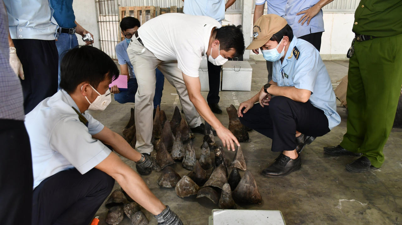 Bắt giữ số lượng "khủng" sừng tê giác và xương động vật hoang dã núp bóng gỗ Nam Phi