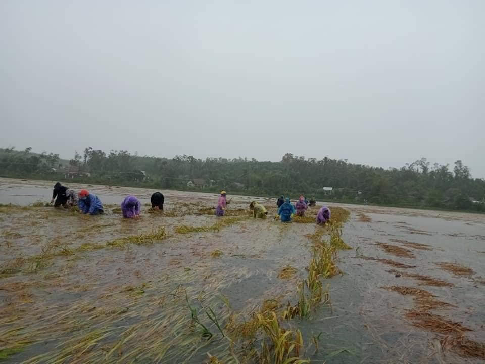 Miền Trung chủ động tránh xảy ra sự cố như thủy điện Rào Trăng 3 dù bão số 5 đã suy yếu