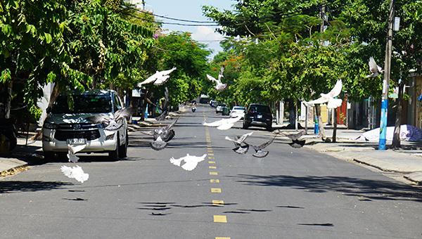 Đà Nẵng sẽ thí điểm đón khách du lịch quốc tế vào đầu tháng 11