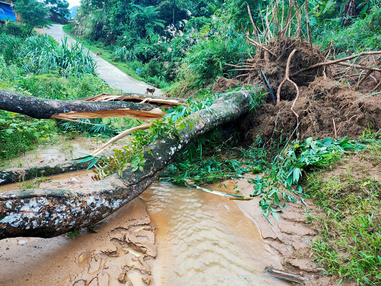 Quảng Nam khẩn trương khắc phục giao thông và tuyến đường sắt Bắc – Nam bị sạt lở
