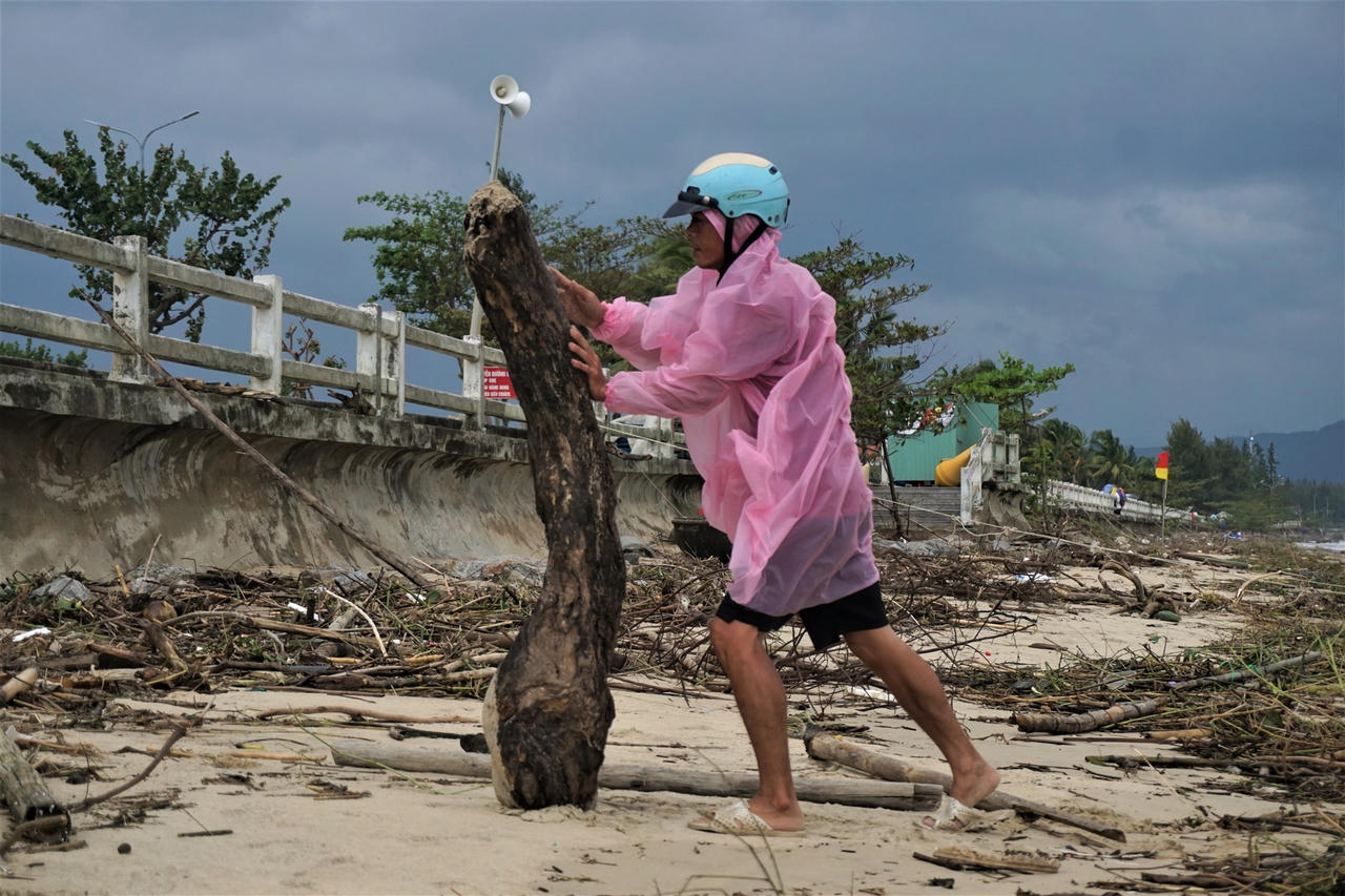 Sau mưa lớn, người Đà Nẵng đổ ra biển nhặt gỗ bán kiếm tiền triệu