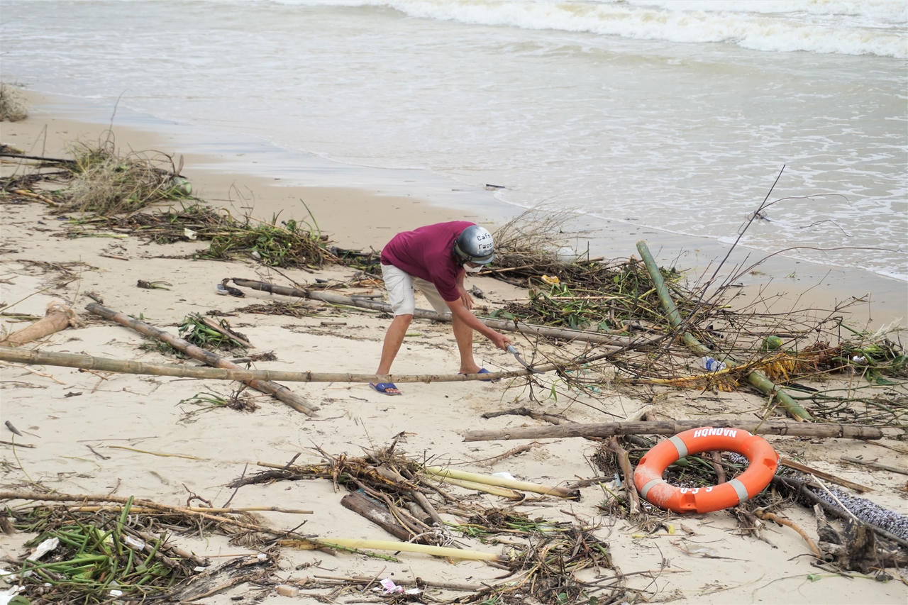 Sau mưa lớn, người Đà Nẵng đổ ra biển nhặt gỗ bán kiếm tiền triệu