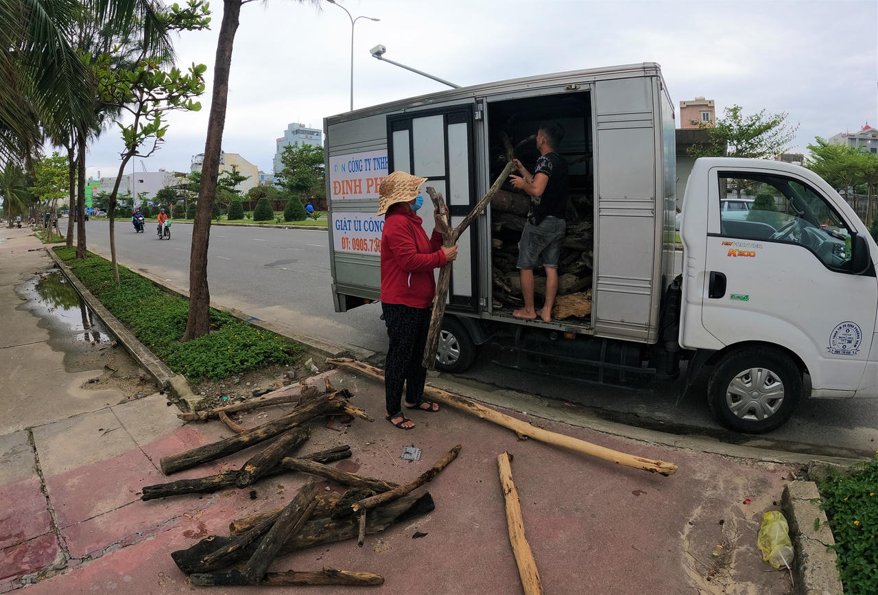 Sau mưa lớn, người Đà Nẵng đổ ra biển nhặt gỗ bán kiếm tiền triệu