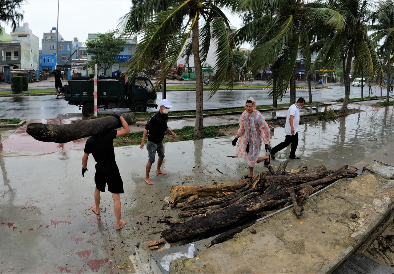 Sau mưa lớn, người Đà Nẵng đổ ra biển nhặt gỗ bán kiếm tiền triệu