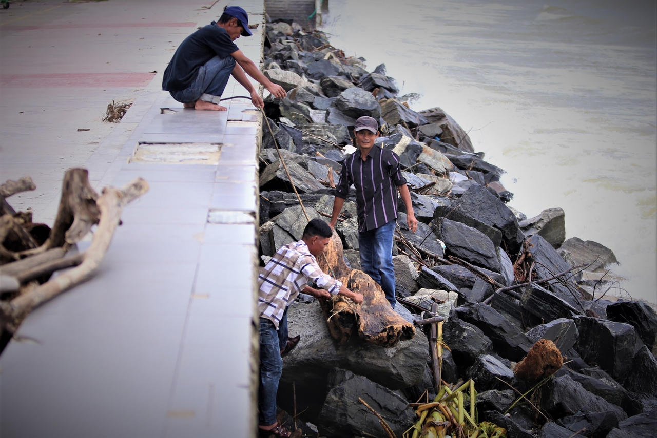 Sau mưa lớn, người Đà Nẵng đổ ra biển nhặt gỗ bán kiếm tiền triệu