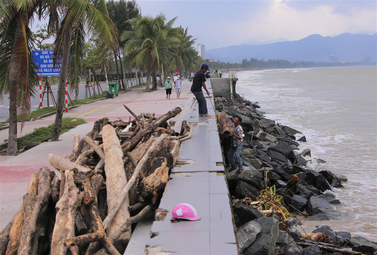 Sau mưa lớn, người Đà Nẵng đổ ra biển nhặt gỗ bán kiếm tiền triệu