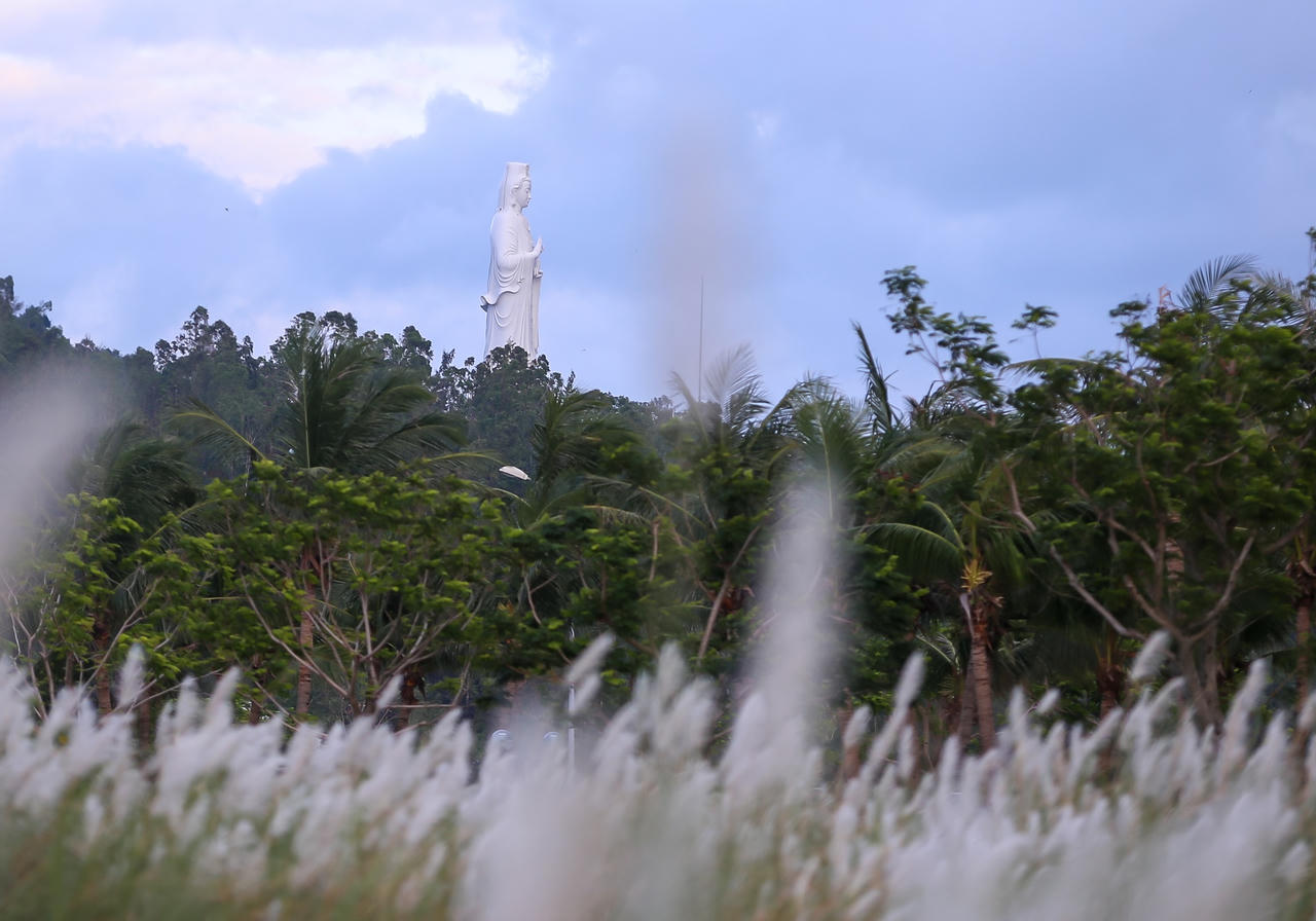 Du khách hào hứng check-in mùa cỏ lau đẹp hút hồn ở Đà Nẵng
