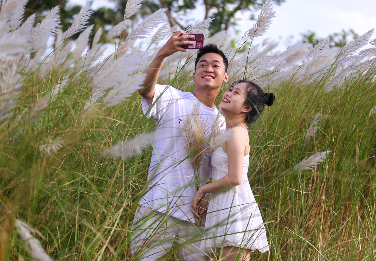 Du khách hào hứng check-in mùa cỏ lau đẹp hút hồn ở Đà Nẵng