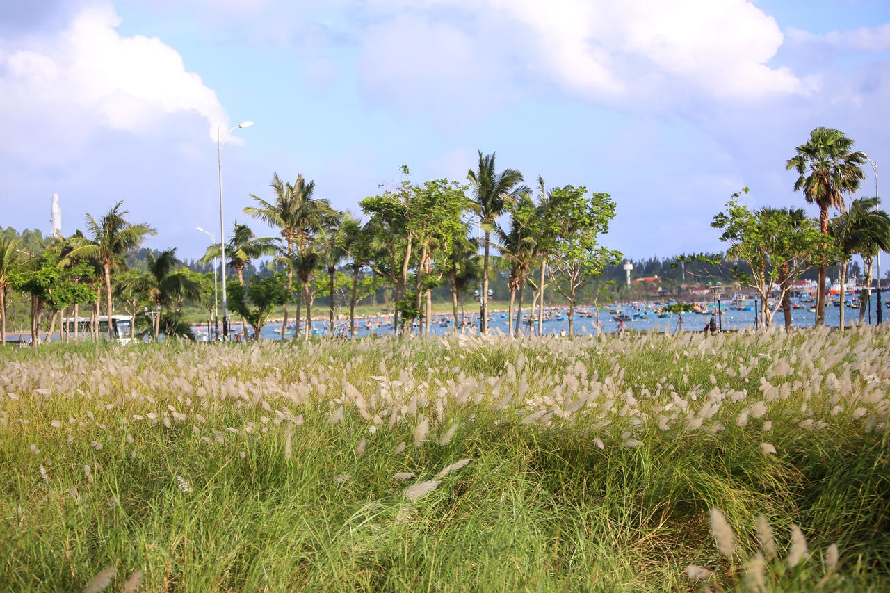 Du khách hào hứng check-in mùa cỏ lau đẹp hút hồn ở Đà Nẵng