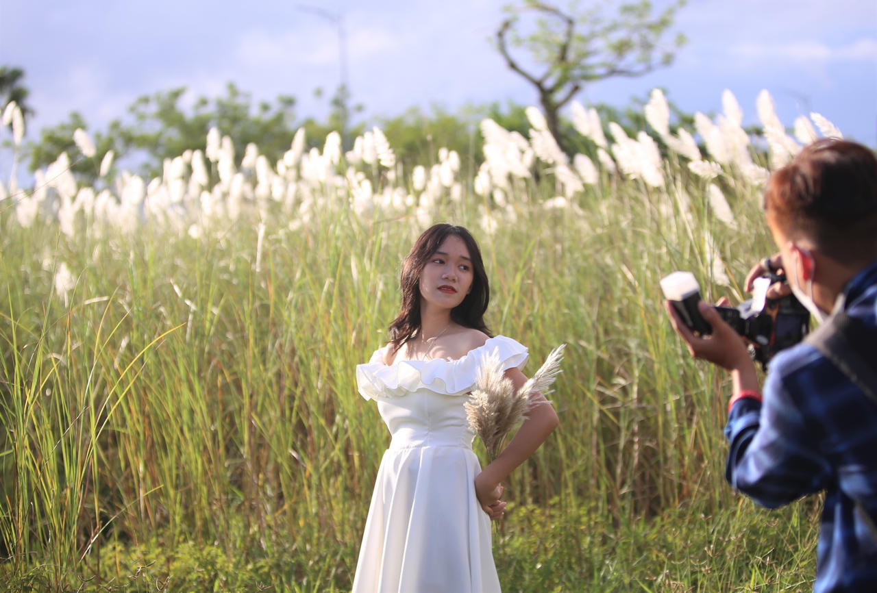 Du khách hào hứng check-in mùa cỏ lau đẹp hút hồn ở Đà Nẵng