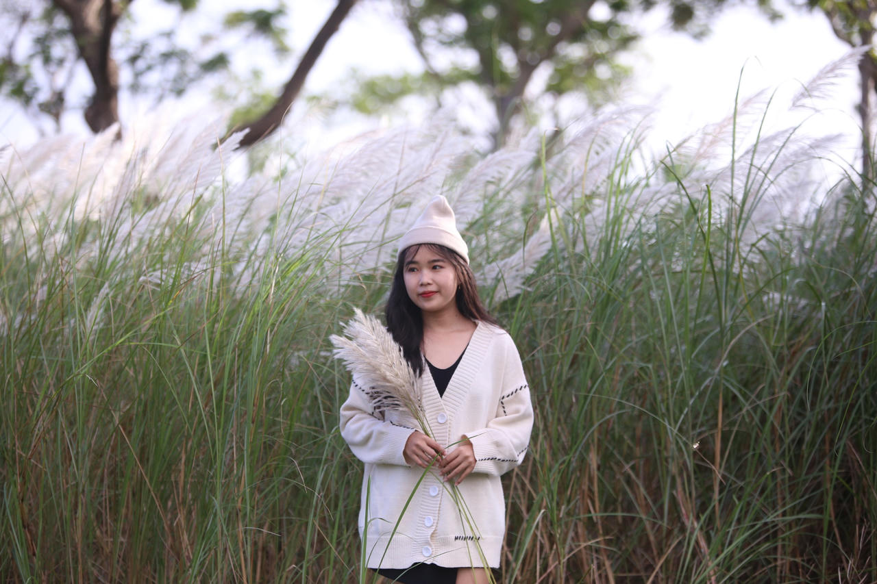 Du khách hào hứng check-in mùa cỏ lau đẹp hút hồn ở Đà Nẵng