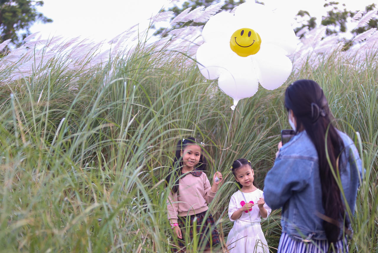 Du khách hào hứng check-in mùa cỏ lau đẹp hút hồn ở Đà Nẵng