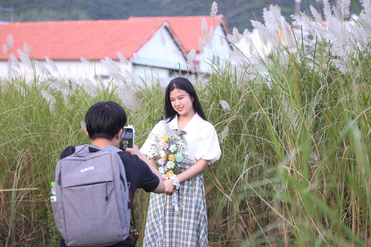 Du khách hào hứng check-in mùa cỏ lau đẹp hút hồn ở Đà Nẵng