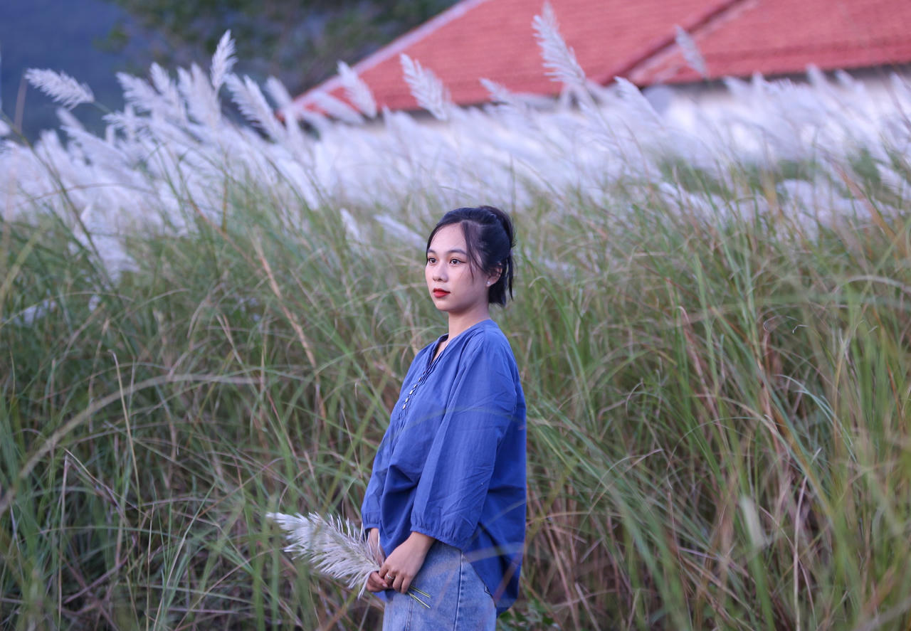 Du khách hào hứng check-in mùa cỏ lau đẹp hút hồn ở Đà Nẵng