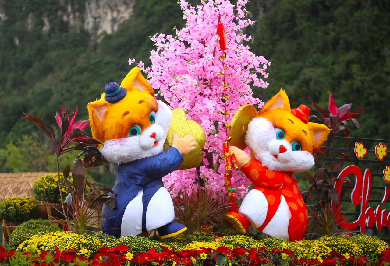 Muôn vẻ ngộ nghĩnh của đàn linh vật mèo tại đường hoa Xuân Đà Nẵng