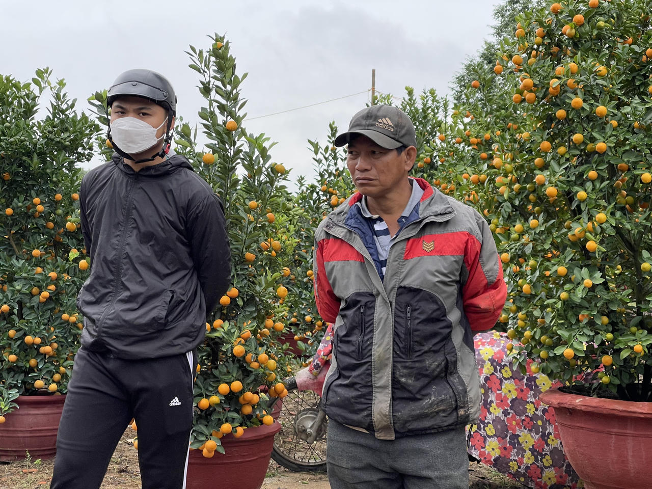 Tiểu thương chợ hoa Xuân Quảng Ngãi sốt ruột vì sức mua giảm