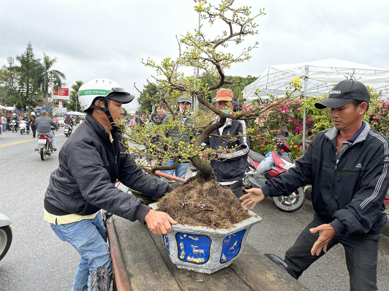 Tiểu thương chợ hoa Xuân Quảng Ngãi sốt ruột vì sức mua giảm