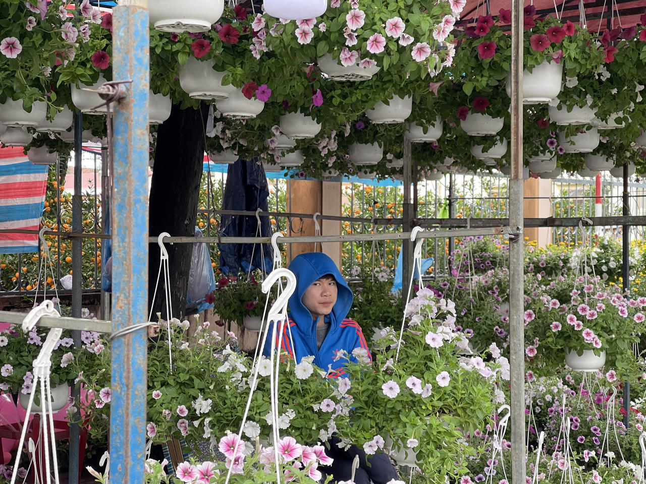 Tiểu thương chợ hoa Xuân Quảng Ngãi sốt ruột vì sức mua giảm