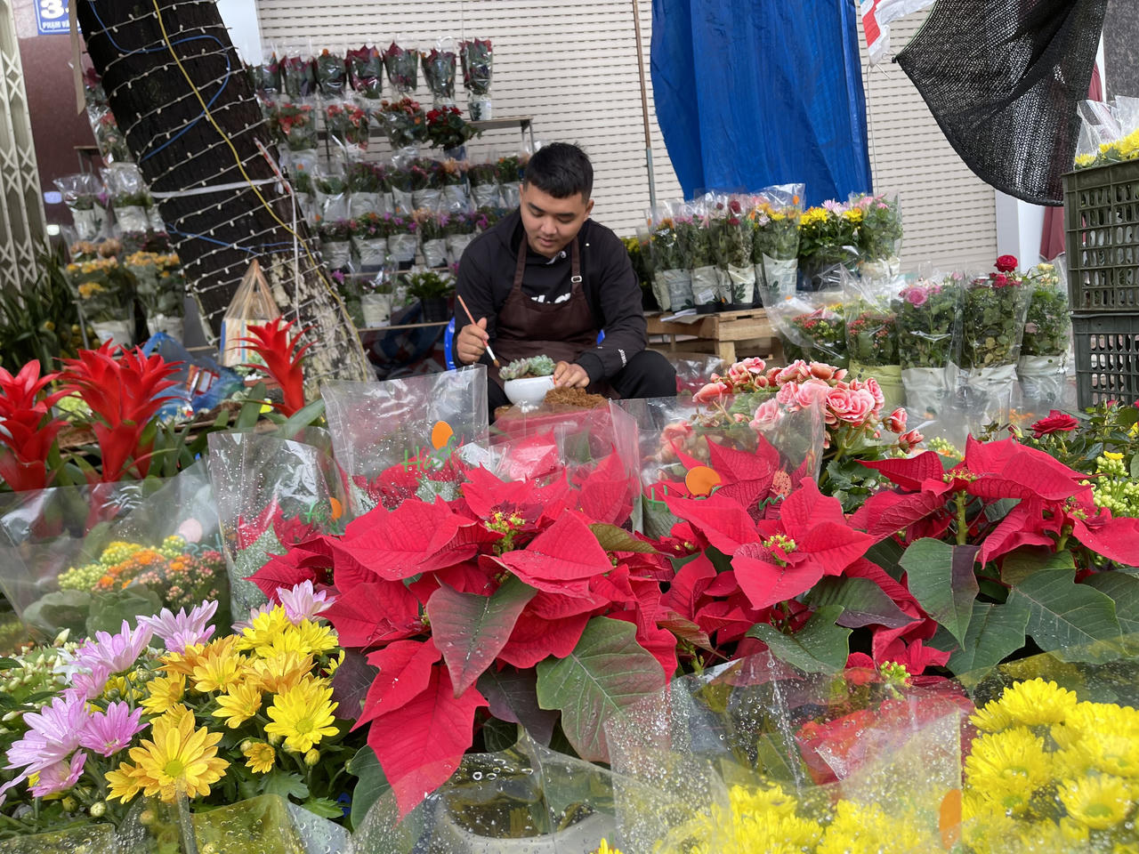 Tiểu thương chợ hoa Xuân Quảng Ngãi sốt ruột vì sức mua giảm