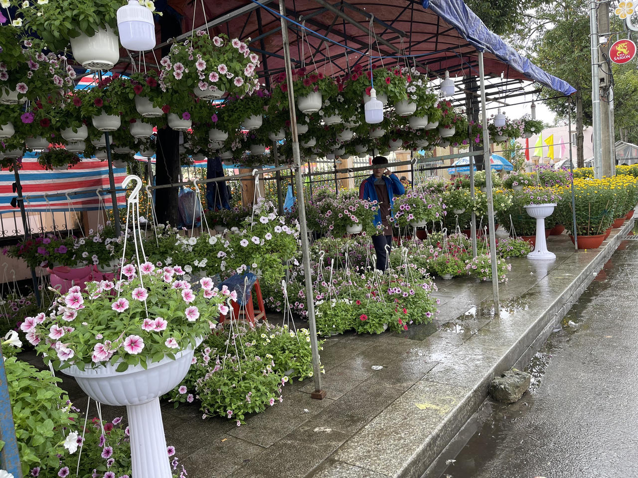 Tiểu thương chợ hoa Xuân Quảng Ngãi sốt ruột vì sức mua giảm