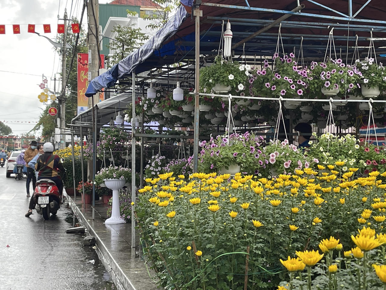 Tiểu thương chợ hoa Xuân Quảng Ngãi sốt ruột vì sức mua giảm