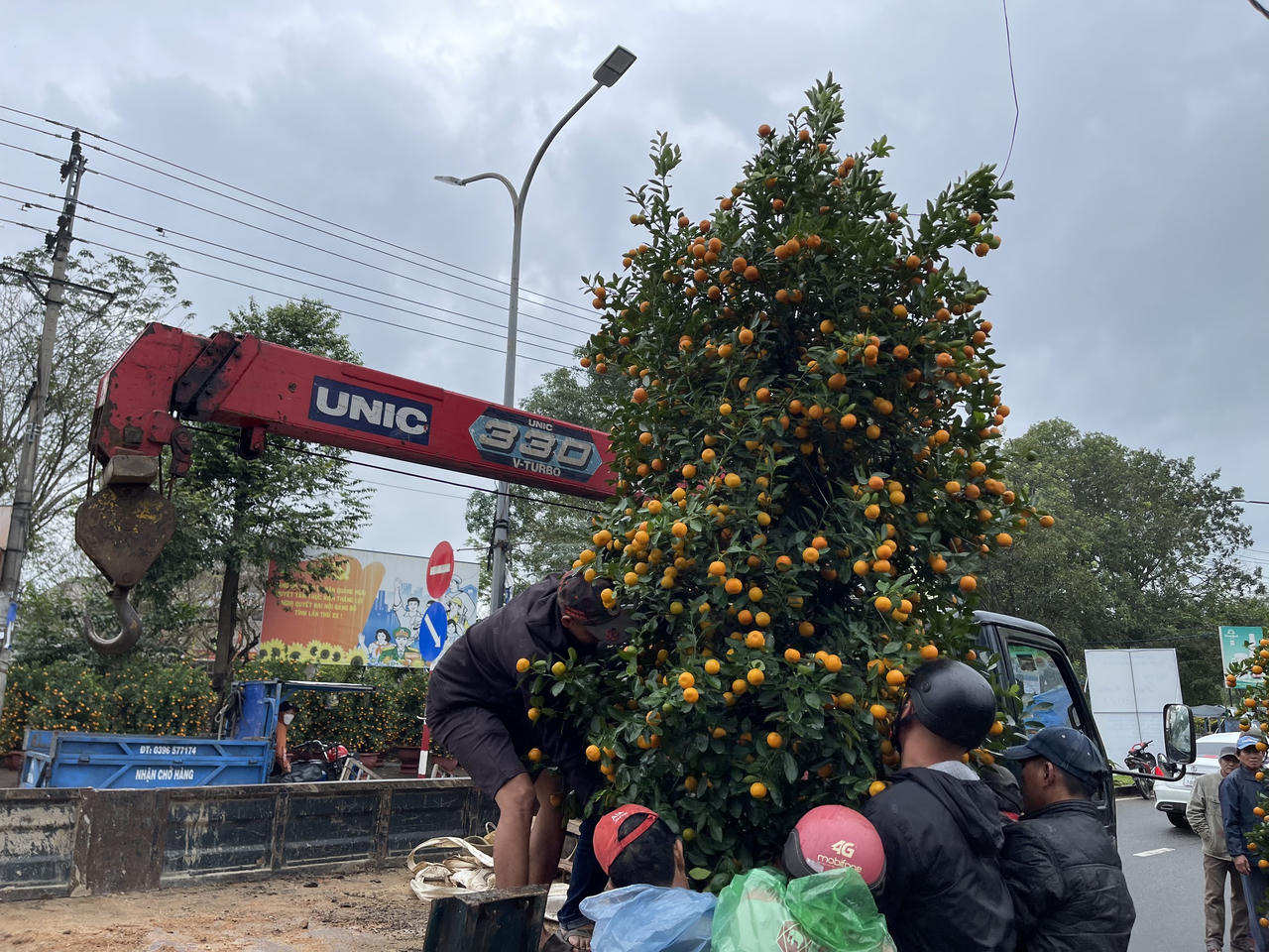 Tiểu thương chợ hoa Xuân Quảng Ngãi sốt ruột vì sức mua giảm