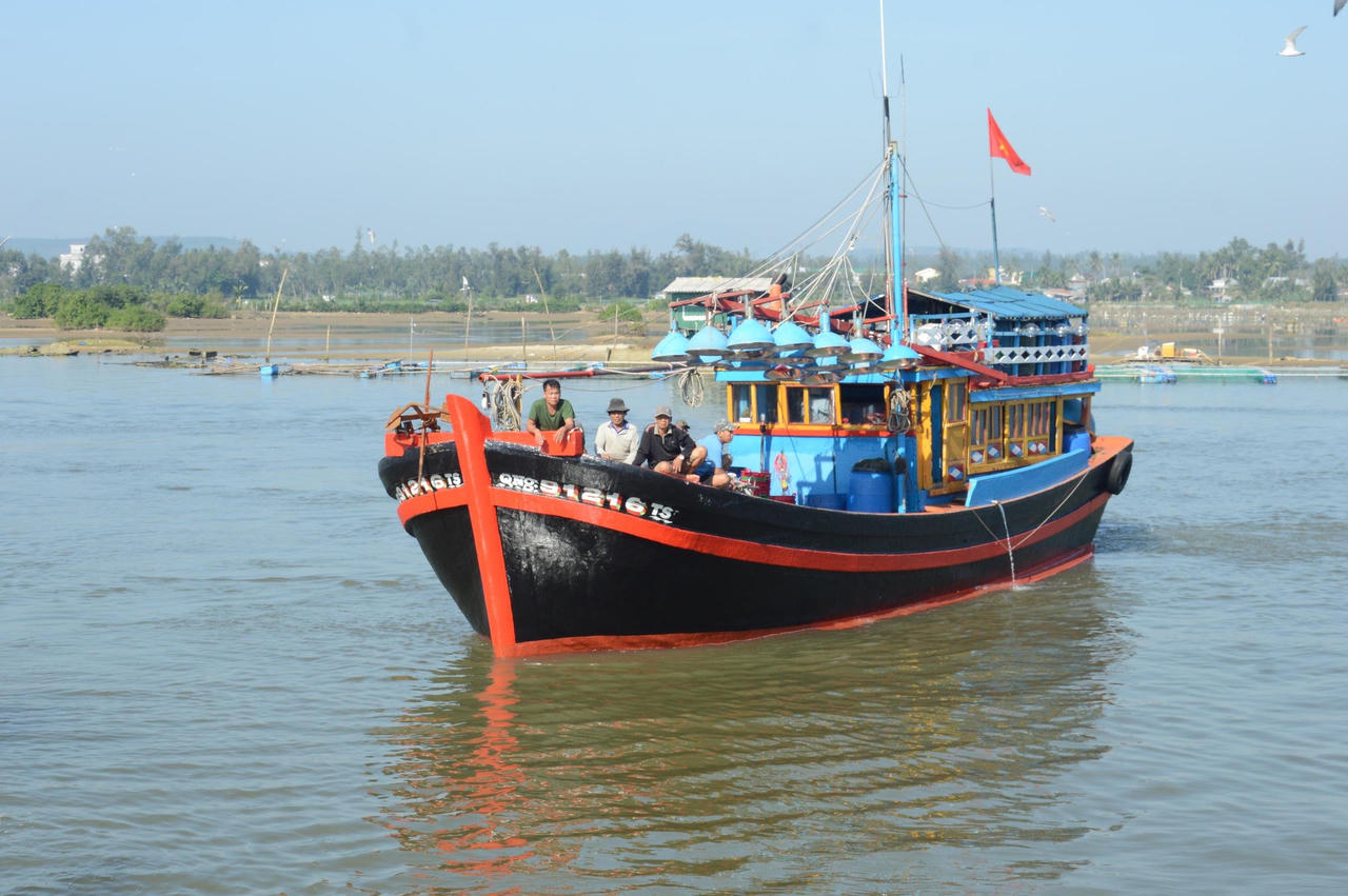 Ngư dân Quảng Ngãi hốt bạc vì trúng đậm cá cơm trong chuyến biển ngày cuối năm