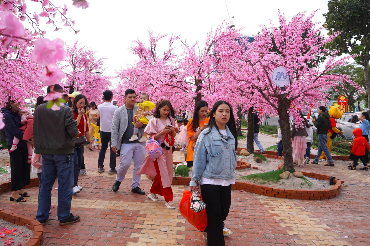 Dòng người đổ về check-in đường hoa Đà Nẵng ngày 30 Tết