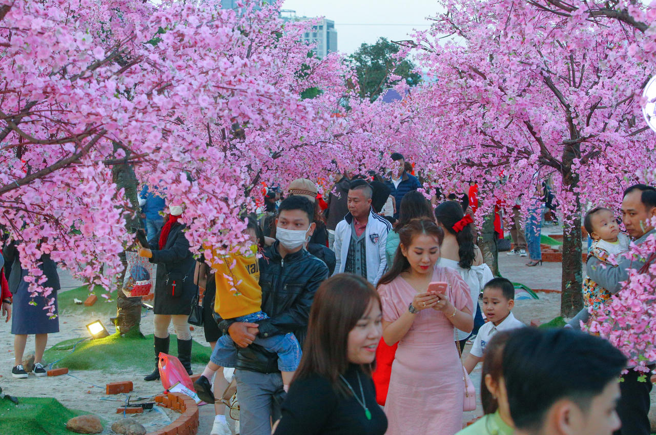 Đường hoa Tết Đà Nẵng mở cửa thêm 10 ngày để phục vụ du lịch