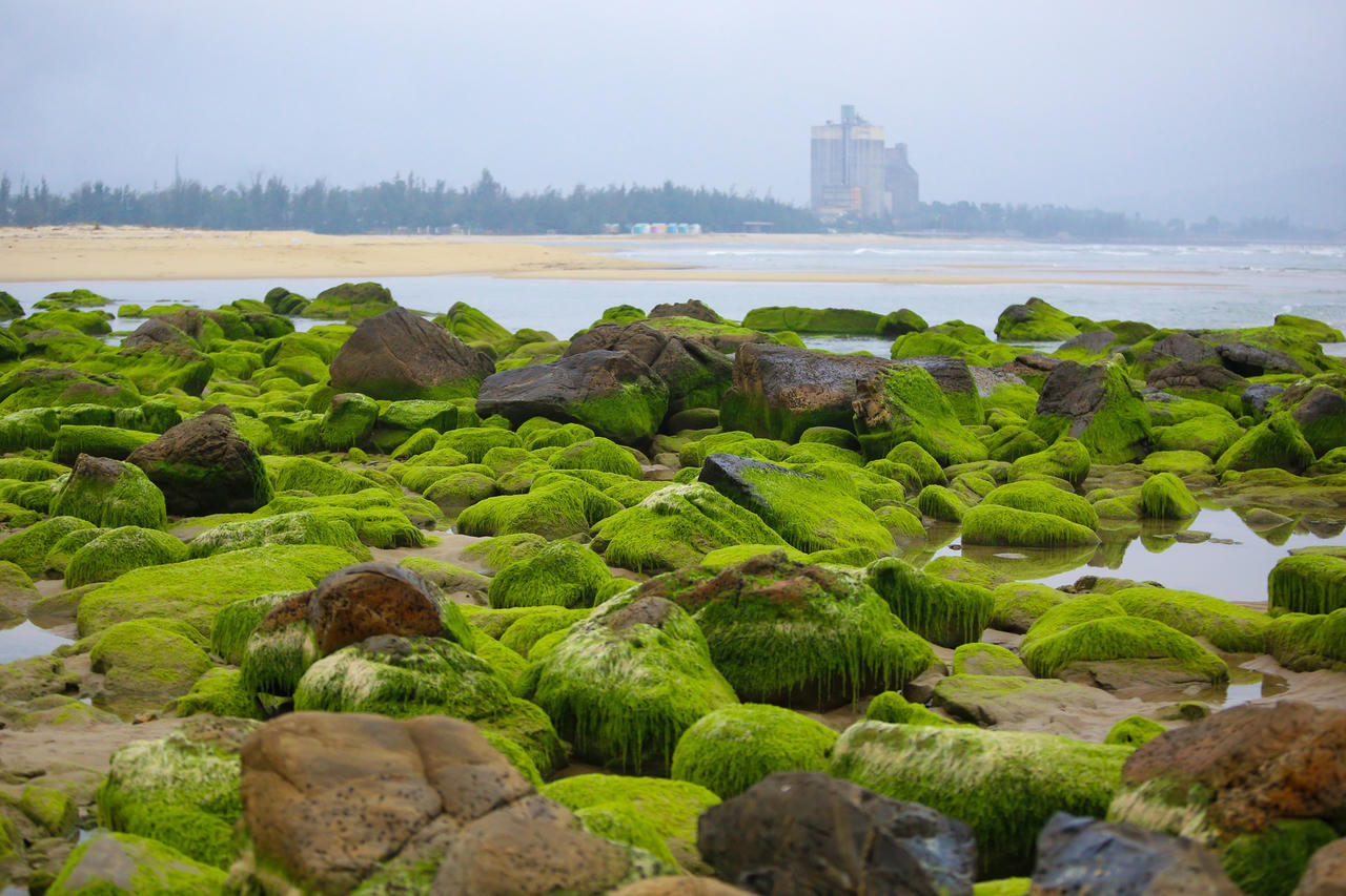 Nghềnh đá Nam ô xanh mướt như ngọc: Người dân và du khách đổ xô đến check in