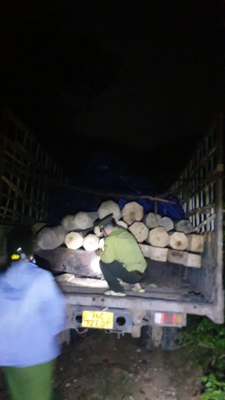 Quảng Ngãi: Kiểm lâm bị đánh, dọa giết khi truy đuổi xe chở gỗ lậu