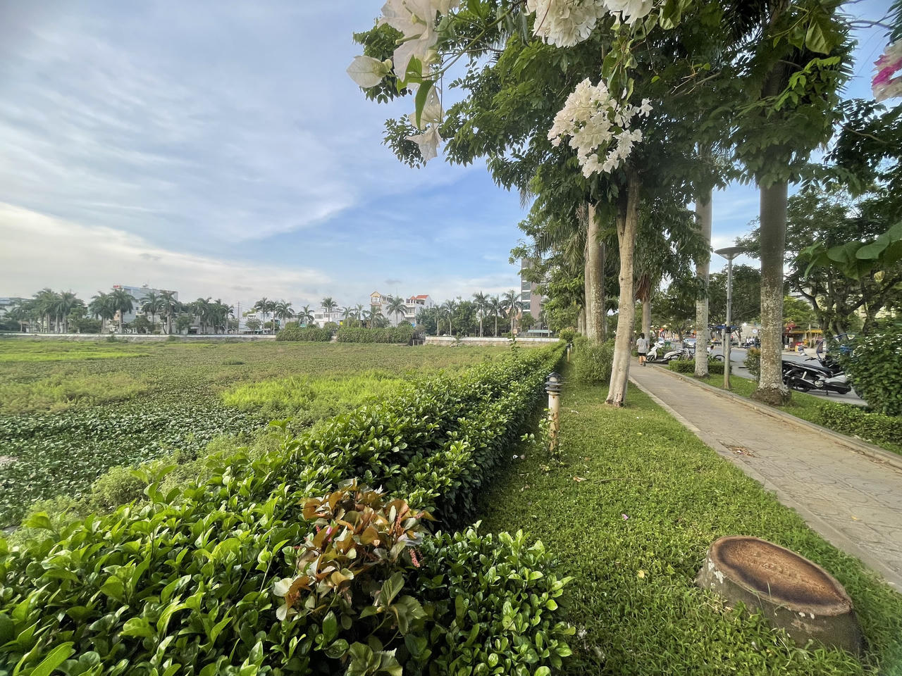 Đầu tư gần 15 tỷ đồng cải tạo hồ điều hòa bị ô nhiễm ở Quảng Ngãi