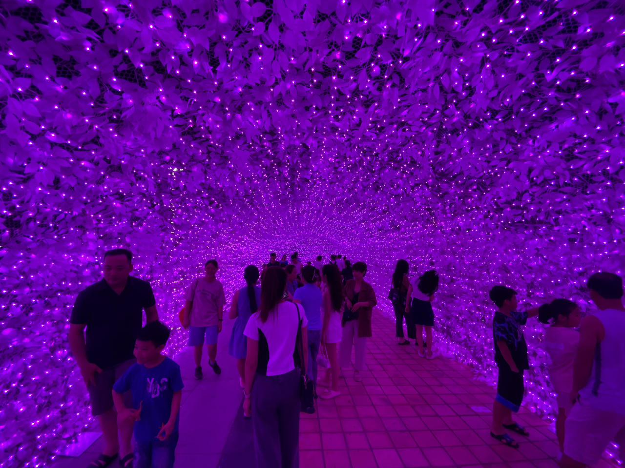 Rực rỡ không gian ánh sáng nghệ thuật lần đầu tiên bên sông Hàn