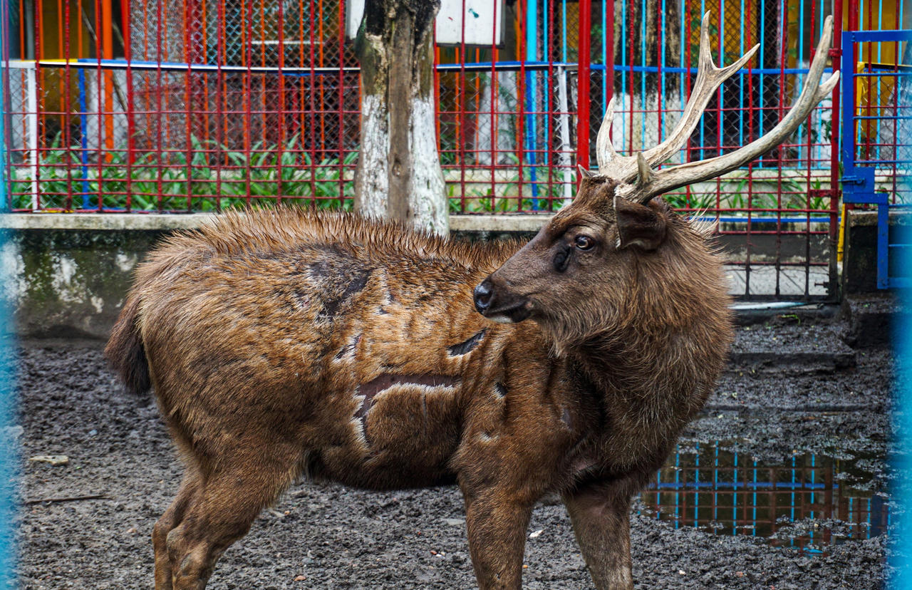 Đà Nẵng đề xuất đầu tư 673 tỷ đồng cải tạo công viên lớn nhất thành phố