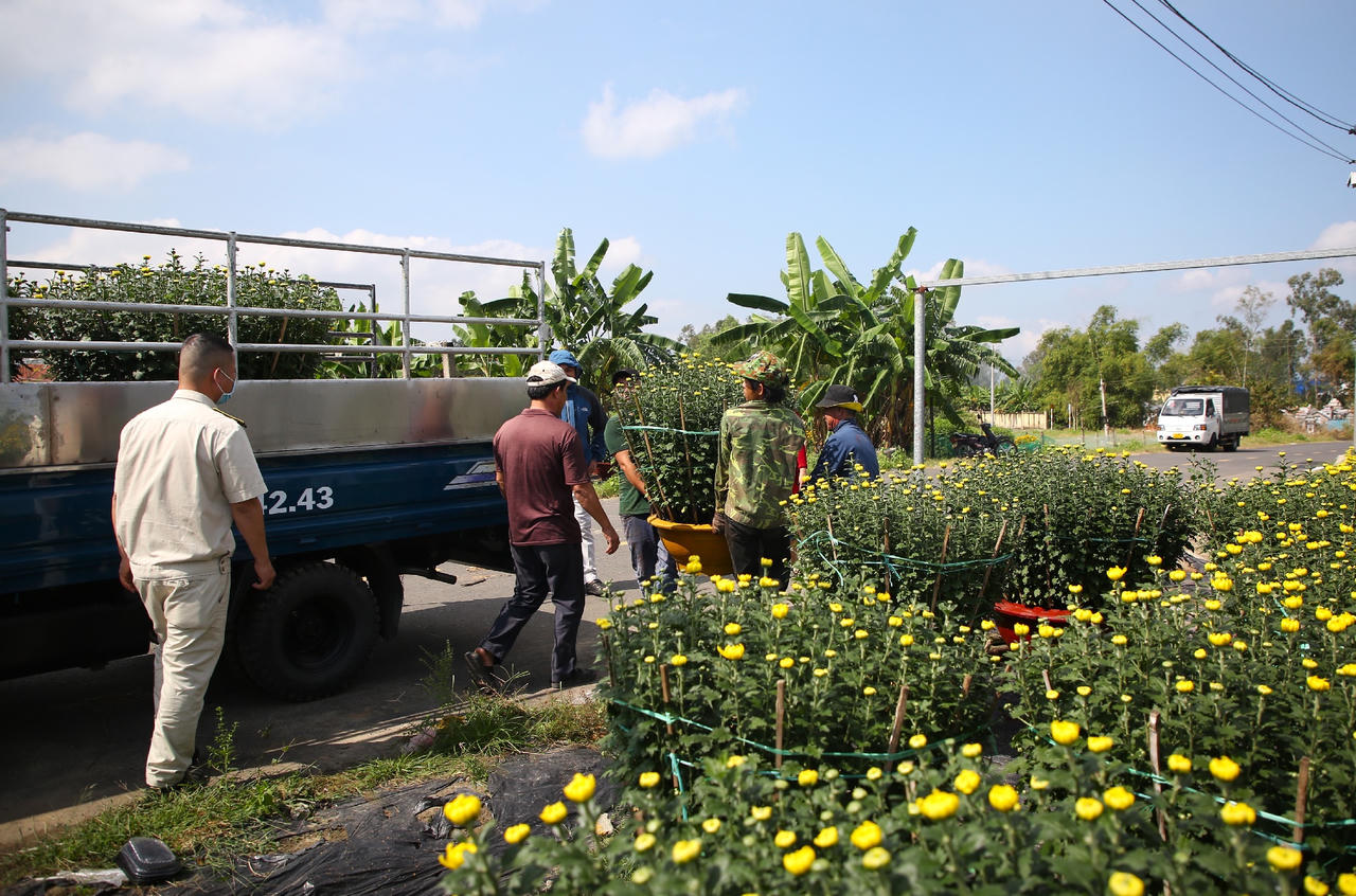 Làng hoa lớn nhất Đà Nẵng tất bật những ngày cận Tết 