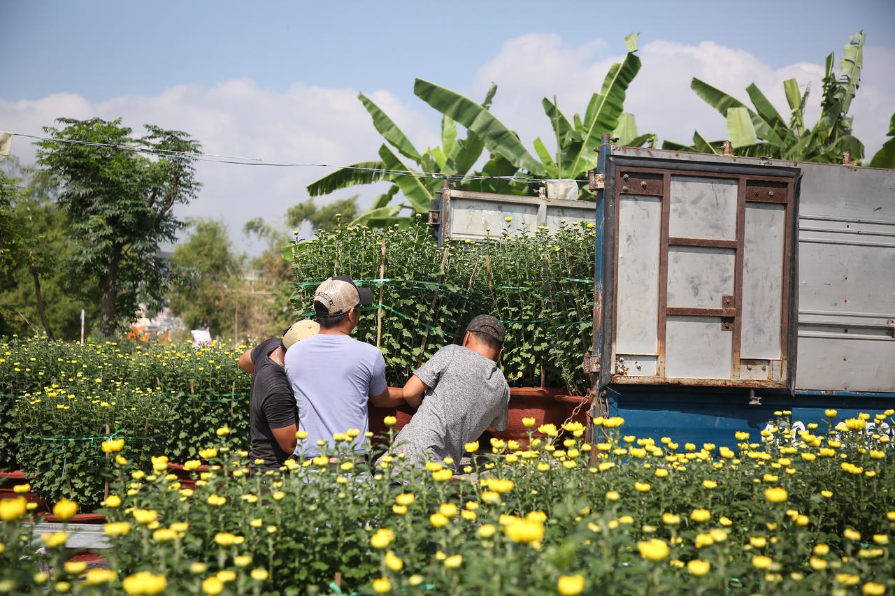 Làng hoa lớn nhất Đà Nẵng tất bật những ngày cận Tết 