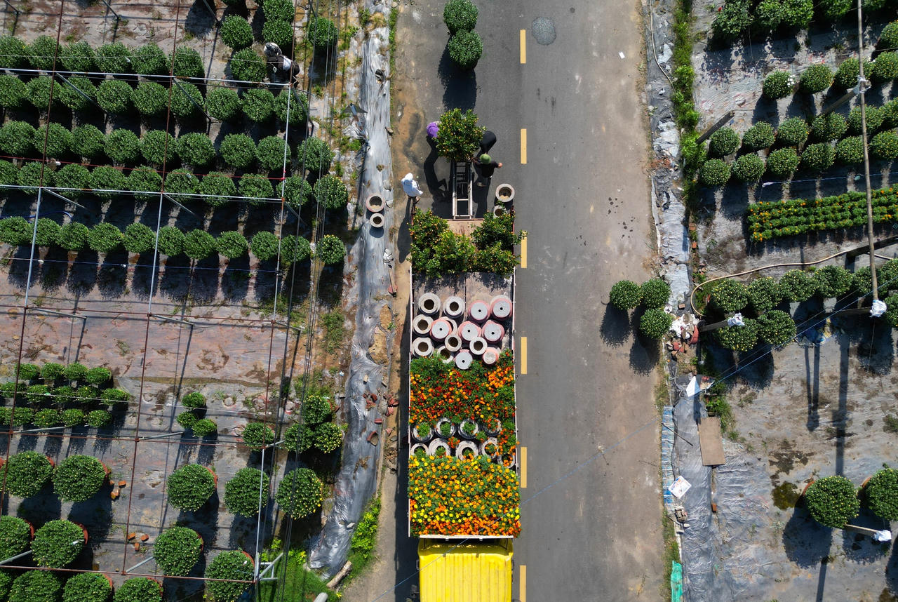 Làng hoa lớn nhất Đà Nẵng tất bật những ngày cận Tết 