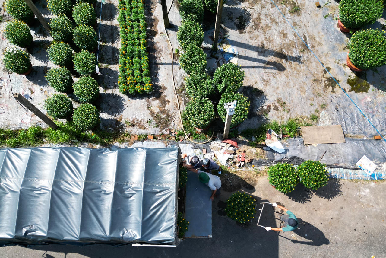 Làng hoa lớn nhất Đà Nẵng tất bật những ngày cận Tết 