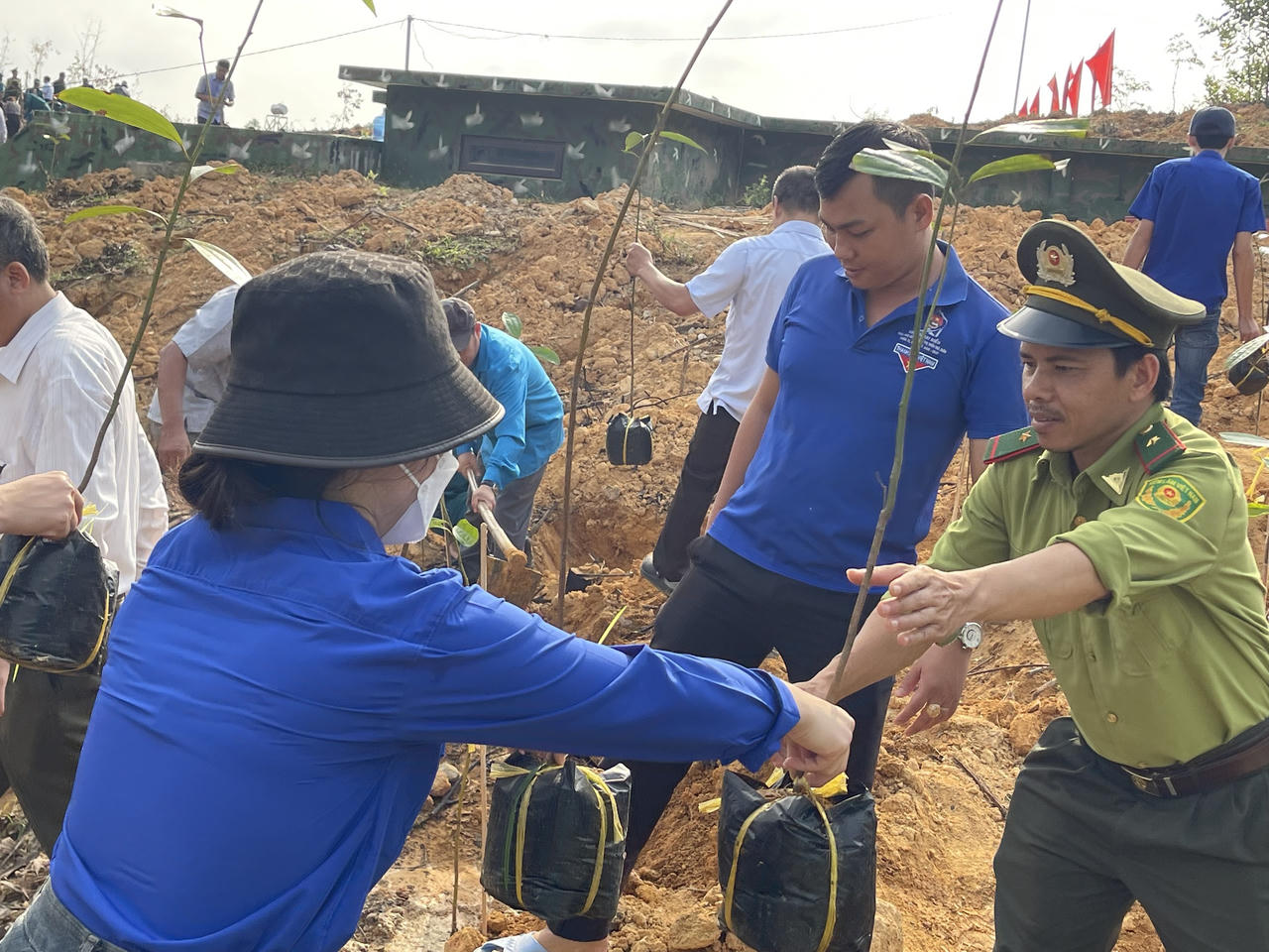 Quảng Ngãi ra quân trồng hàng chục nghìn cây xanh dịp đầu năm mới